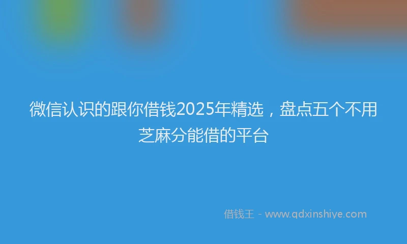 微信认识的跟你借钱2025年精选，盘点五个不用芝麻分能借的平台