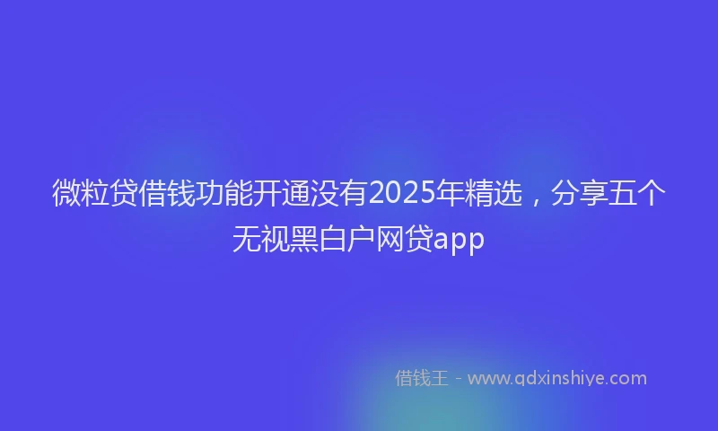 微粒贷借钱功能开通没有2025年精选，分享五个无视黑白户网贷app