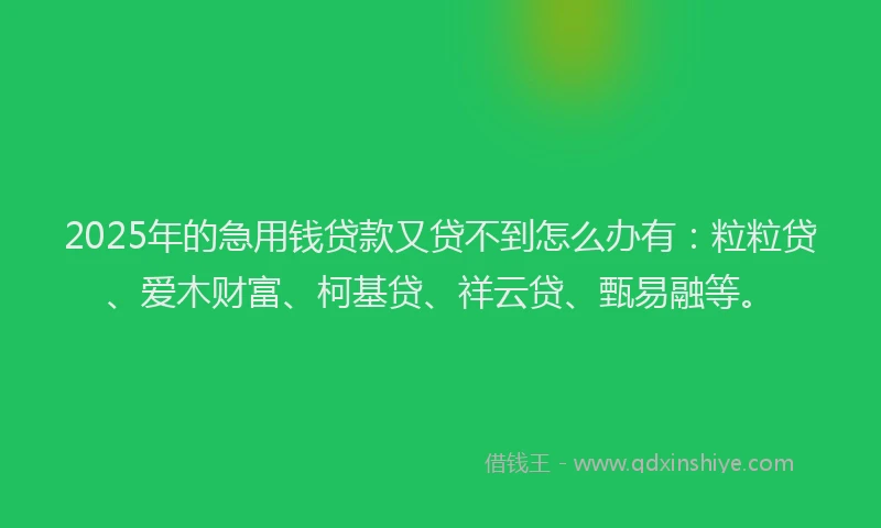 2025年的急用钱贷款又贷不到怎么办有：粒粒贷、爱木财富、柯基贷、祥云贷、甄易融等。