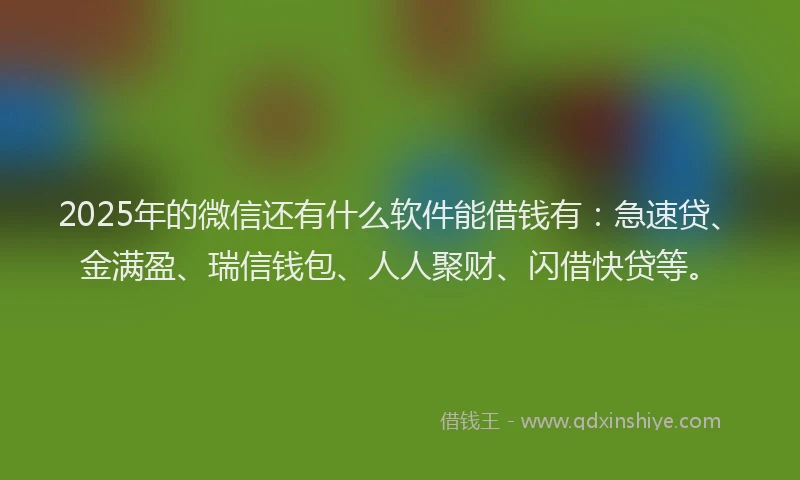 2025年的微信还有什么软件能借钱有：急速贷、金满盈、瑞信钱包、人人聚财、闪借快贷等。