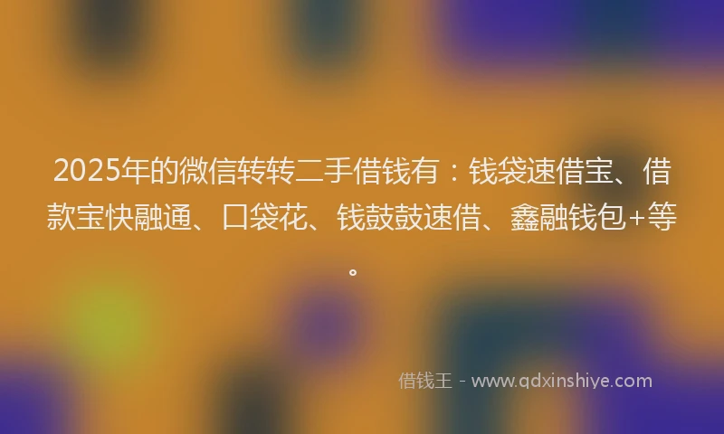 2025年的微信转转二手借钱有：钱袋速借宝、借款宝快融通、口袋花、钱鼓鼓速借、鑫融钱包+等。