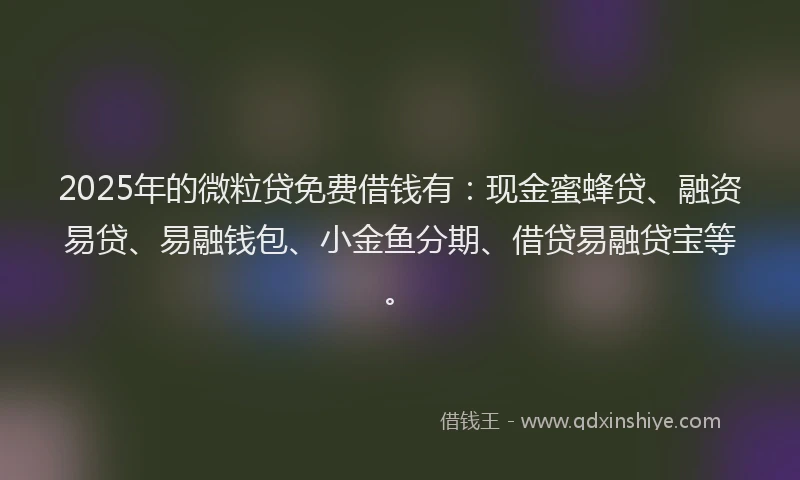 2025年的微粒贷免费借钱有：现金蜜蜂贷、融资易贷、易融钱包、小金鱼分期、借贷易融贷宝等。