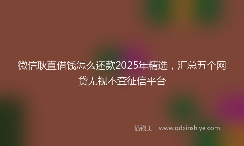 微信耿直借钱怎么还款2025年精选，汇总五个网贷无视不查征信平台