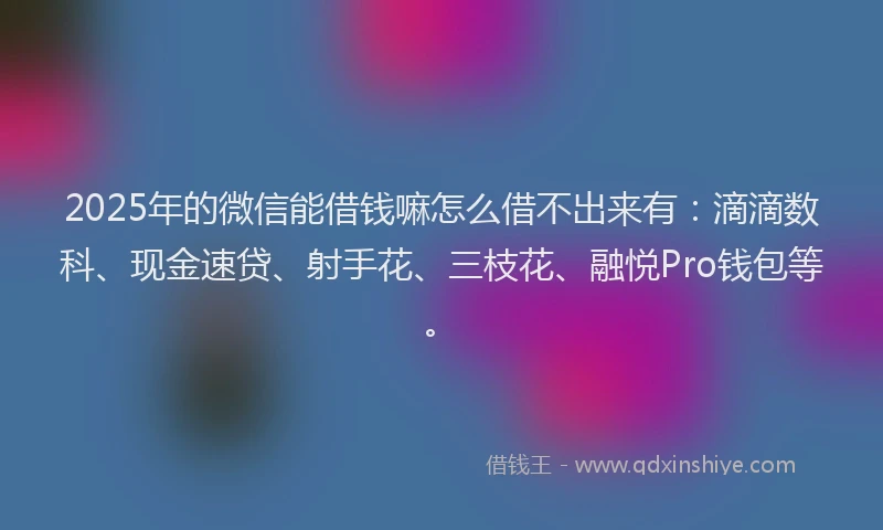 2025年的微信能借钱嘛怎么借不出来有：滴滴数科、现金速贷、射手花、三枝花、融悦Pro钱包等。