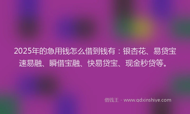 2025年的急用钱怎么借到钱有：银杏花、易贷宝速易融、瞬借宝融、快易贷宝、现金秒贷等。