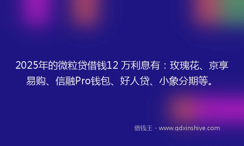 2025年的微粒贷借钱12 万利息有：玫瑰花、京享易购、信融Pro钱包、好人贷、小象分期等。
