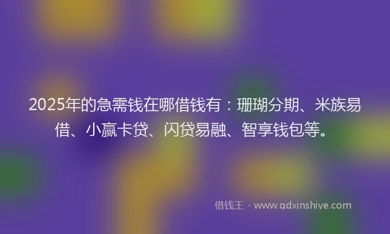 2025年的急需钱在哪借钱有：珊瑚分期、米族易借、小赢卡贷、闪贷易融、智享钱包等。