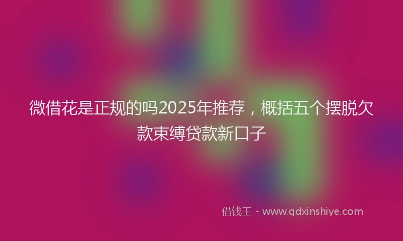 微借花是正规的吗2025年推荐，概括五个摆脱欠款束缚贷款新口子