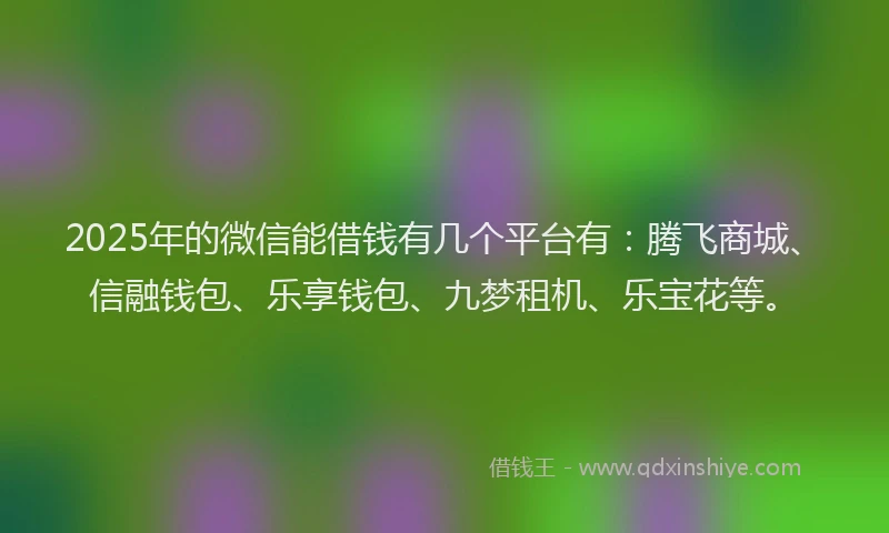 2025年的微信能借钱有几个平台有：腾飞商城、信融钱包、乐享钱包、九梦租机、乐宝花等。