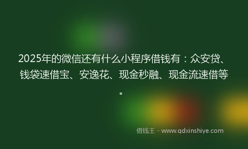 2025年的微信还有什么小程序借钱有：众安贷、钱袋速借宝、安逸花、现金秒融、现金流速借等。