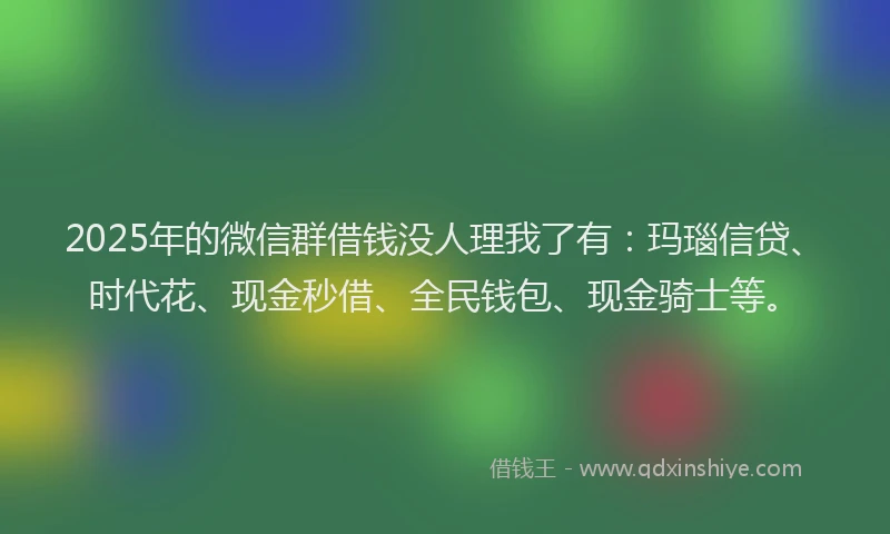 2025年的微信群借钱没人理我了有：玛瑙信贷、时代花、现金秒借、全民钱包、现金骑士等。