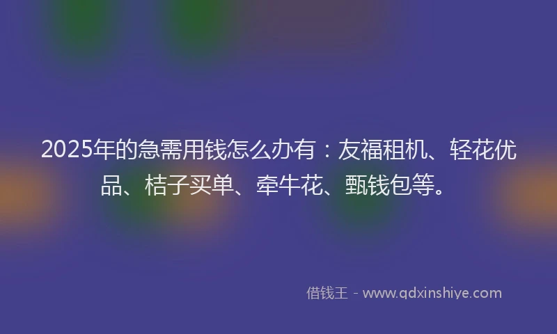 2025年的急需用钱怎么办有：友福租机、轻花优品、桔子买单、牵牛花、甄钱包等。