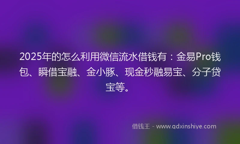 2025年的怎么利用微信流水借钱有：金易Pro钱包、瞬借宝融、金小豚、现金秒融易宝、分子贷宝等。