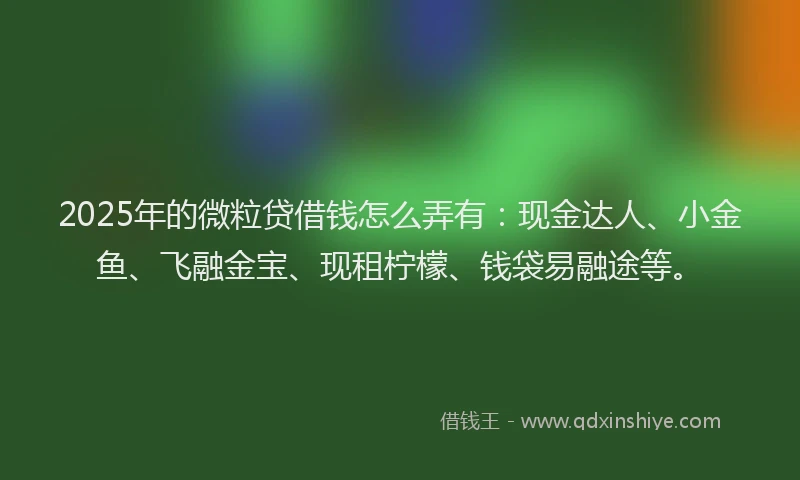 2025年的微粒贷借钱怎么弄有：现金达人、小金鱼、飞融金宝、现租柠檬、钱袋易融途等。
