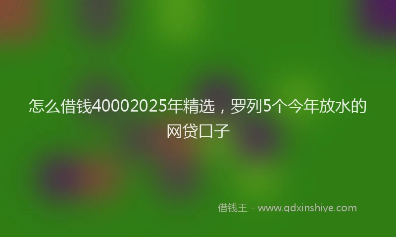 怎么借钱40002025年精选，罗列5个今年放水的网贷口子