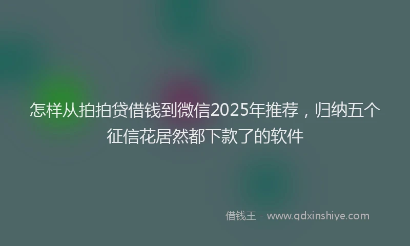 怎样从拍拍贷借钱到微信2025年推荐，归纳五个征信花居然都下款了的软件