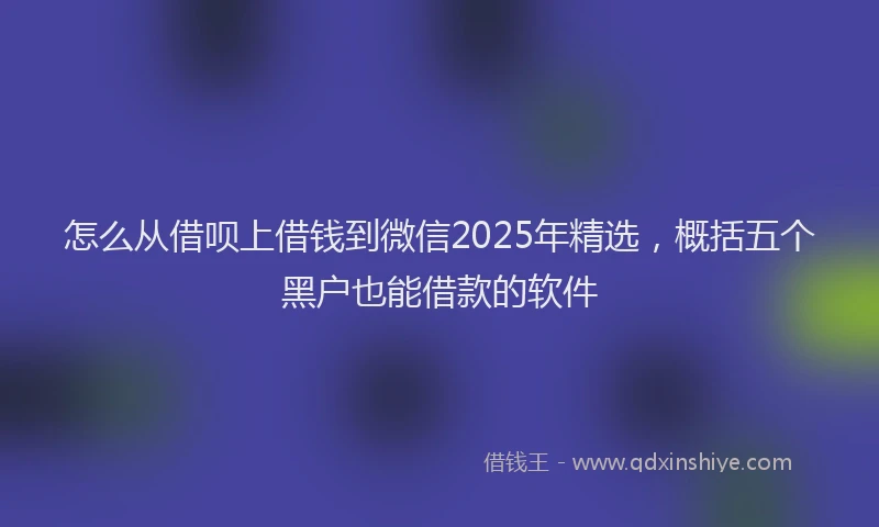 怎么从借呗上借钱到微信2025年精选，概括五个黑户也能借款的软件