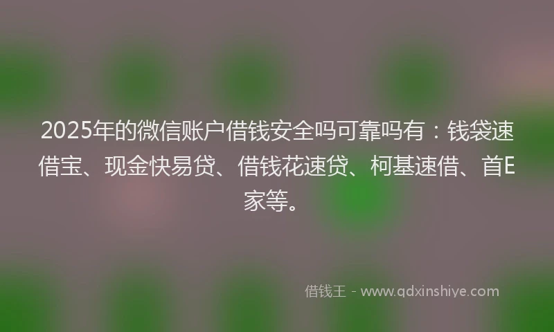 2025年的微信账户借钱安全吗可靠吗有：钱袋速借宝、现金快易贷、借钱花速贷、柯基速借、首E家等。