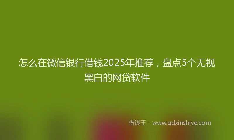 怎么在微信银行借钱2025年推荐，盘点5个无视黑白的网贷软件