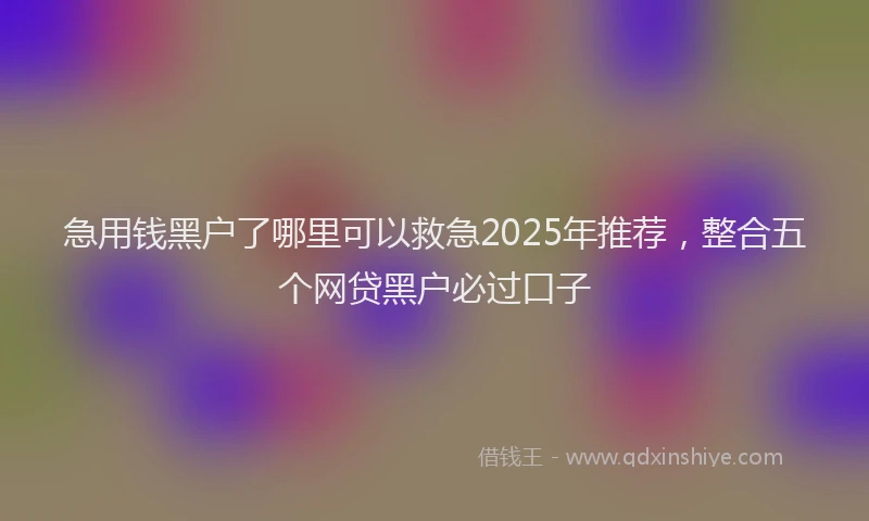 急用钱黑户了哪里可以救急2025年推荐，整合五个网贷黑户必过口子