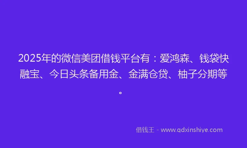 2025年的微信美团借钱平台有：爱鸿森、钱袋快融宝、今日头条备用金、金满仓贷、柚子分期等。