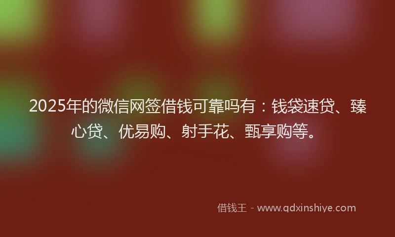 2025年的微信网签借钱可靠吗有：钱袋速贷、臻心贷、优易购、射手花、甄享购等。