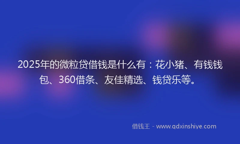 2025年的微粒贷借钱是什么有：花小猪、有钱钱包、360借条、友佳精选、钱贷乐等。