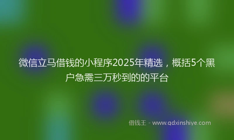 微信立马借钱的小程序2025年精选，概括5个黑户急需三万秒到的的平台