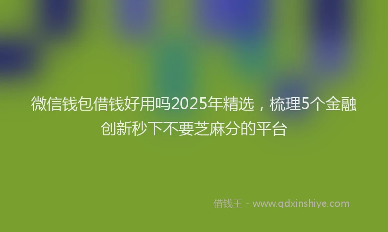 微信钱包借钱好用吗2025年精选，梳理5个金融创新秒下不要芝麻分的平台