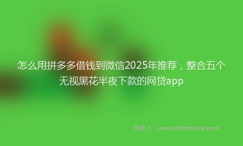 怎么用拼多多借钱到微信2025年推荐，整合五个无视黑花半夜下款的网贷app