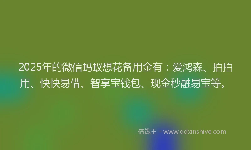 2025年的微信蚂蚁想花备用金有：爱鸿森、拍拍用、快快易借、智享宝钱包、现金秒融易宝等。