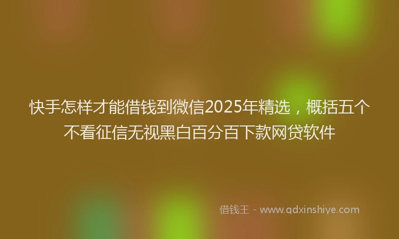 快手怎样才能借钱到微信2025年精选，概括五个不看征信无视黑白百分百下款网贷软件
