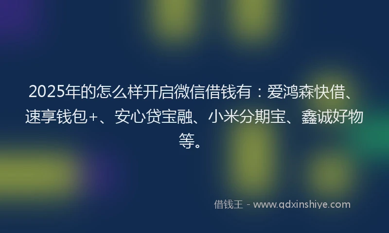 2025年的怎么样开启微信借钱有：爱鸿森快借、速享钱包+、安心贷宝融、小米分期宝、鑫诚好物等。