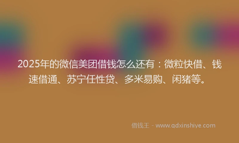 2025年的微信美团借钱怎么还有：微粒快借、钱速借通、苏宁任性贷、多米易购、闲猪等。