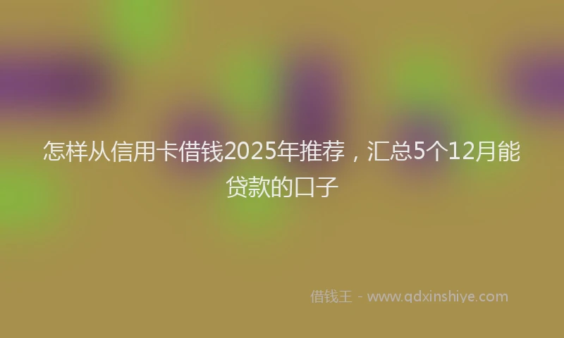 怎样从信用卡借钱2025年推荐，汇总5个12月能贷款的口子