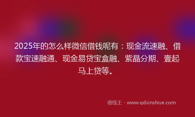2025年的怎么样微信借钱呢有：现金流速融、借款宝速融通、现金易贷宝盒融、紫晶分期、壹起马上贷等。