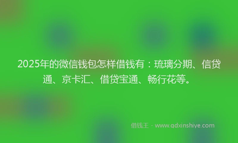 2025年的微信钱包怎样借钱有：琉璃分期、信贷通、京卡汇、借贷宝通、畅行花等。