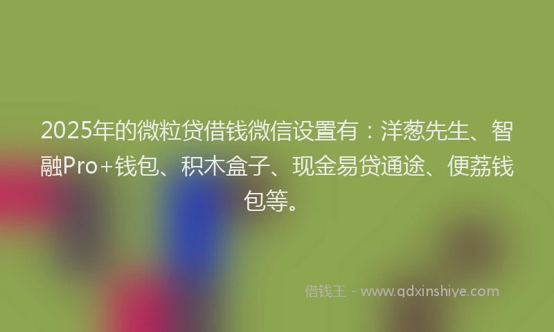 2025年的微粒贷借钱微信设置有：洋葱先生、智融Pro+钱包、积木盒子、现金易贷通途、便荔钱包等。