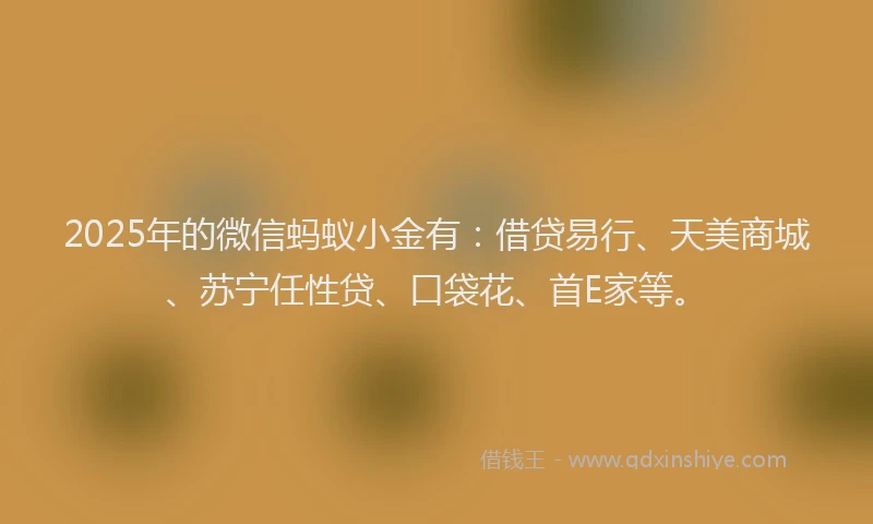 2025年的微信蚂蚁小金有：借贷易行、天美商城、苏宁任性贷、口袋花、首E家等。