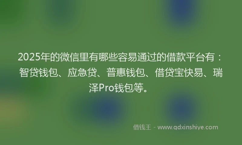 2025年的微信里有哪些容易通过的借款平台有：智贷钱包、应急贷、普惠钱包、借贷宝快易、瑞泽Pro钱包等。
