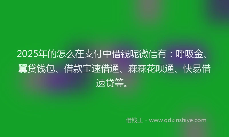 2025年的怎么在支付中借钱呢微信有：呼吸金、翼贷钱包、借款宝速借通、森森花呗通、快易借速贷等。