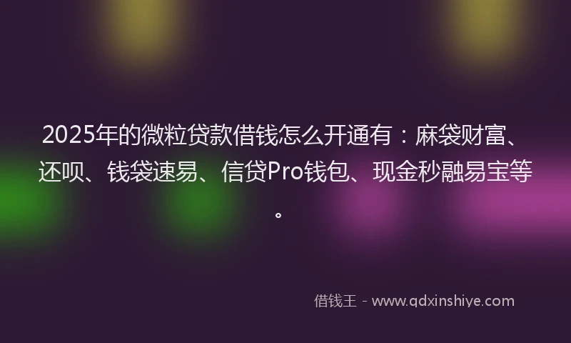2025年的微粒贷款借钱怎么开通有：麻袋财富、还呗、钱袋速易、信贷Pro钱包、现金秒融易宝等。