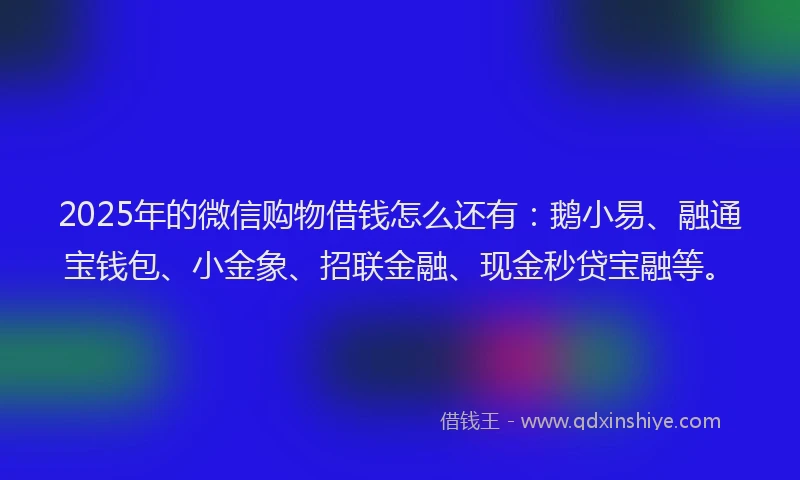 2025年的微信购物借钱怎么还有：鹅小易、融通宝钱包、小金象、招联金融、现金秒贷宝融等。