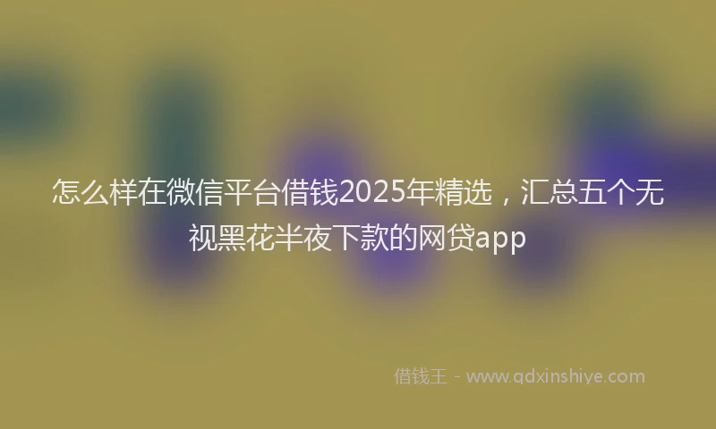 怎么样在微信平台借钱2025年精选，汇总五个无视黑花半夜下款的网贷app