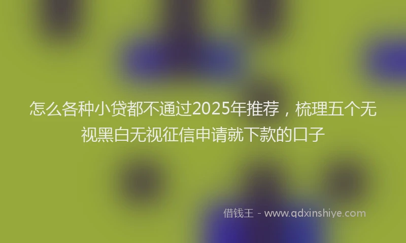 怎么各种小贷都不通过2025年推荐，梳理五个无视黑白无视征信申请就下款的口子
