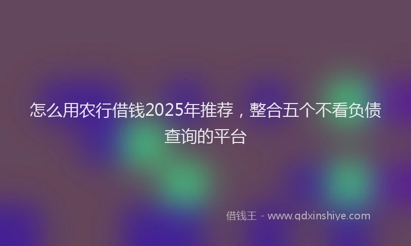 怎么用农行借钱2025年推荐，整合五个不看负债查询的平台