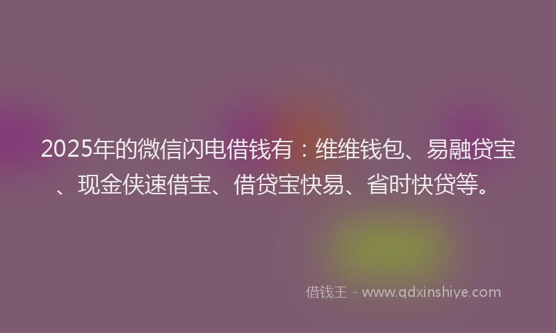 2025年的微信闪电借钱有：维维钱包、易融贷宝、现金侠速借宝、借贷宝快易、省时快贷等。