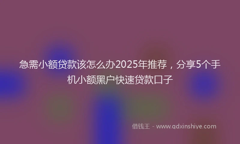 急需小额贷款该怎么办2025年推荐，分享5个手机小额黑户快速贷款口子