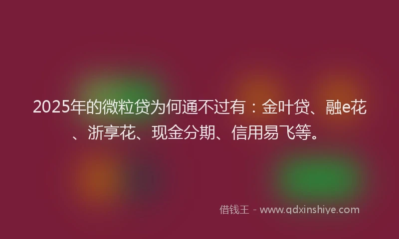 2025年的微粒贷为何通不过有：金叶贷、融e花、浙享花、现金分期、信用易飞等。