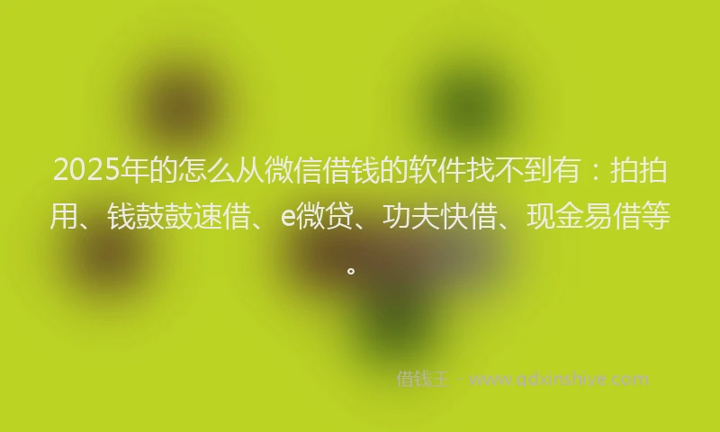 2025年的怎么从微信借钱的软件找不到有：拍拍用、钱鼓鼓速借、e微贷、功夫快借、现金易借等。